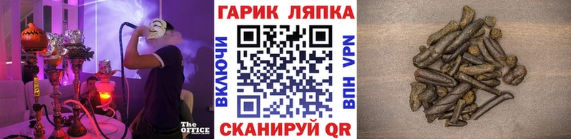 Гашиш AMNESIA HAZE  Купить  Ветлуга 