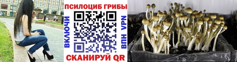 Галлюциногенные грибы мухоморы  Купить где  Ветлуга 